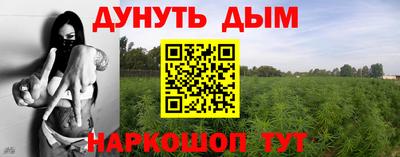 стафф Славгород