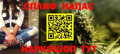стафф Славгород